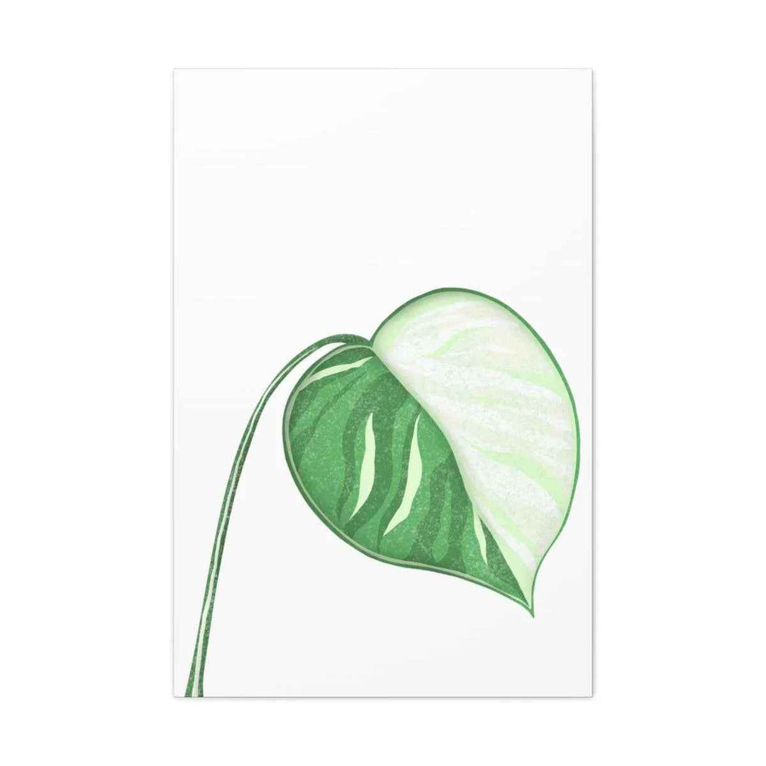 Monstera Albo Canvas | Large Tropical Leaf Artwork - Matte Finish Canvas Art Print