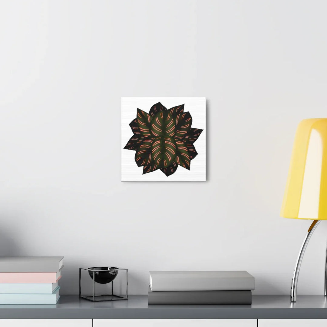 Calathea Pinstripe Canvas – Botanical Canvas Art Print | Matte Finish Wall Decor