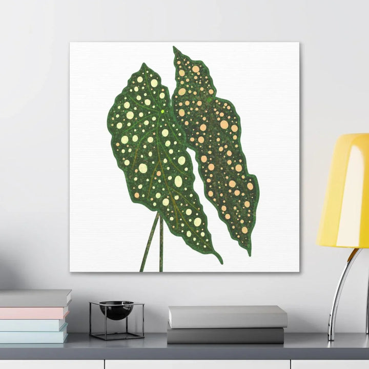 Begonia Maculata Canvas | Premium Canvas Art Print - Matte Finish, Durable Wall Decor - Laura Christine Photography & Design
