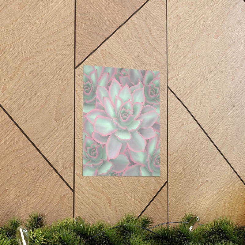 Echeveria Violet Queen Succulent Print, Poster, Laura Christine Photography & Design, Back to School, Home & Living, Indoor, Matte, Paper, Posters, Valentine&