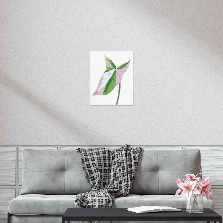 Syngonium Tricolor Print – Botanical Wall Art | Variegated Leaf Poster Unframed