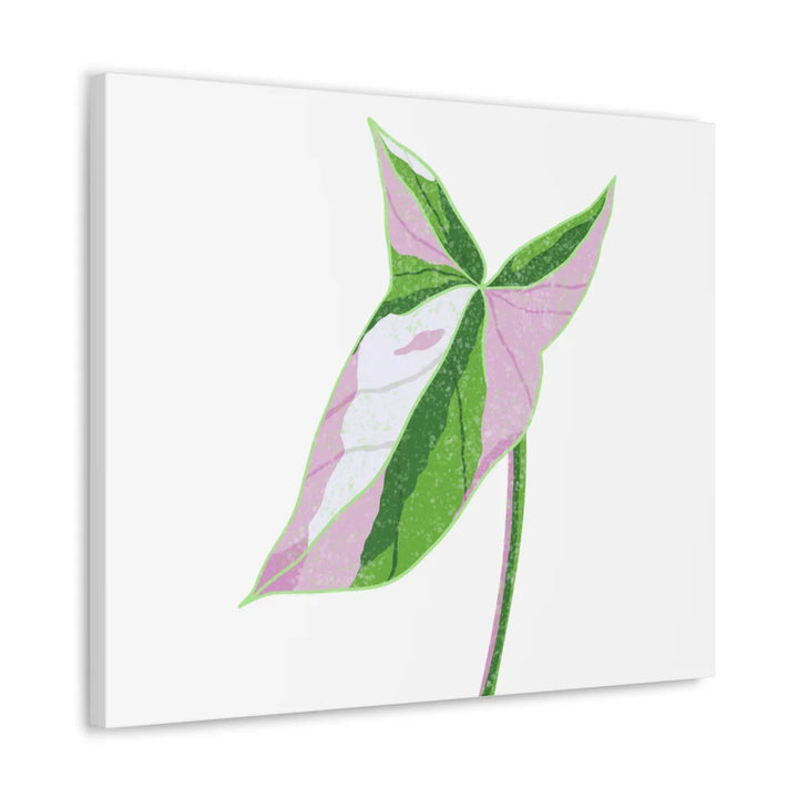 Syngonium Tricolor Canvas | Botanical Canvas Art Print With Matte Finish - Laura Christine Photography & Design
