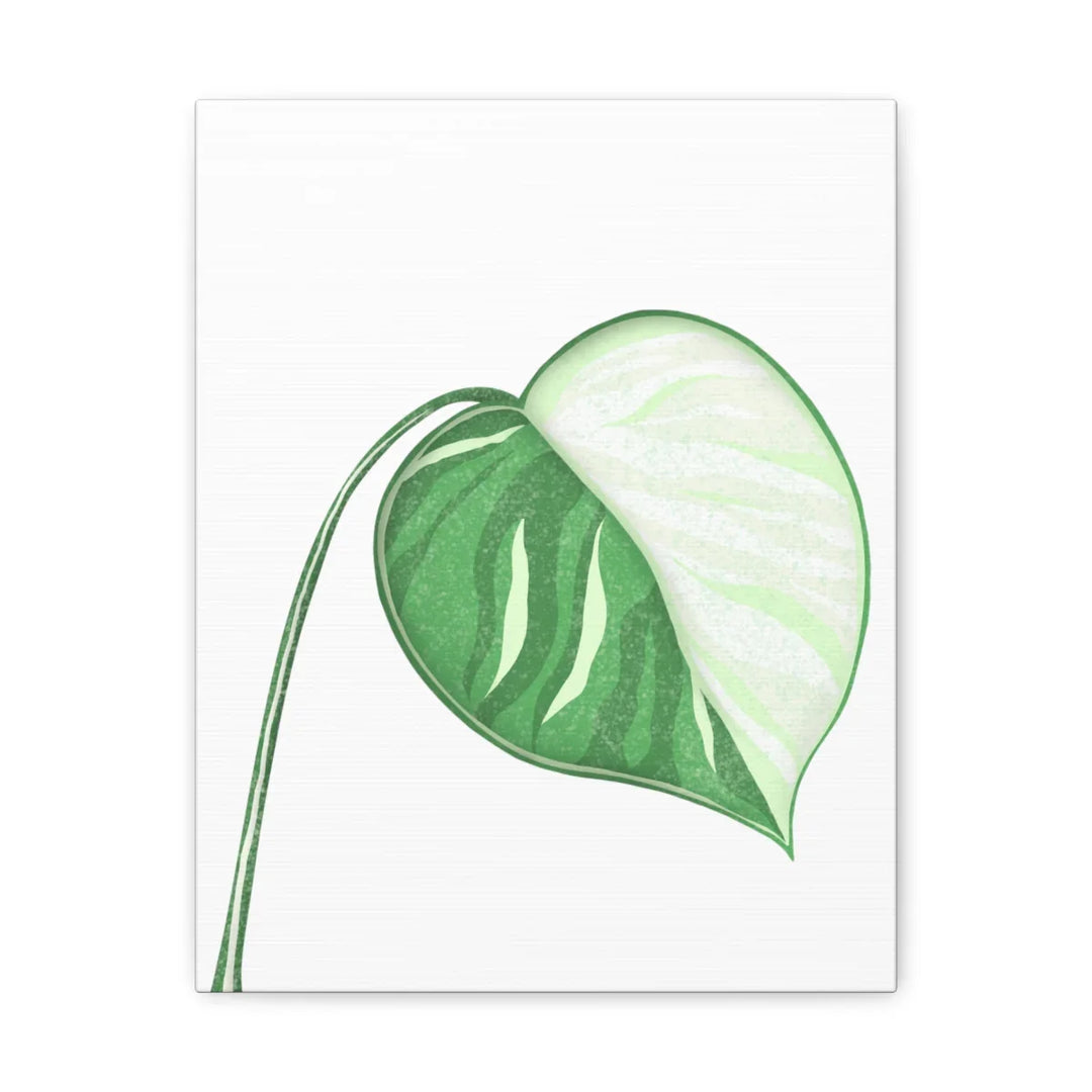 Monstera Albo Canvas | Large Tropical Leaf Artwork - Matte Finish Canvas Art Print - Laura Christine Photography & Design