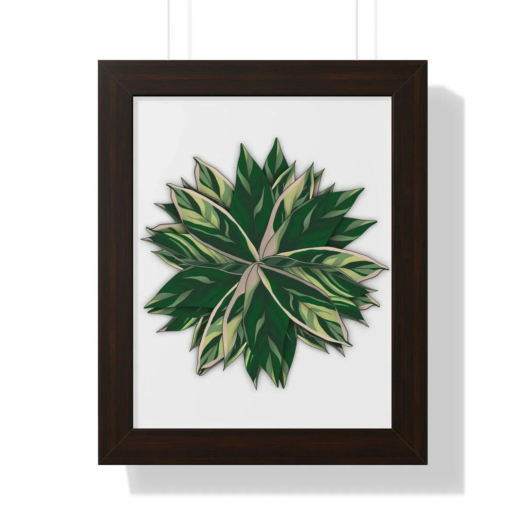 Stromanthe Triostar Framed Print, Poster, Laura Christine Photography & Design, Framed, Home & Living, Indoor, Paper, Posters, Laura Christine Photography & Design, laurachristinedesign.com