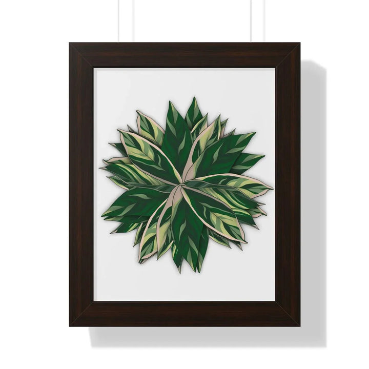 Stromanthe Triostar Framed Print, Poster, Laura Christine Photography & Design, Framed, Home & Living, Indoor, Paper, Posters, Laura Christine Photography & Design, laurachristinedesign.com