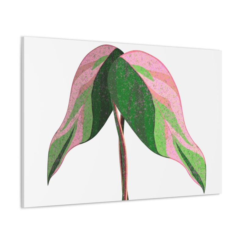 Pink Princess Philodendron Canvas, Canvas, Laura Christine Photography & Design, Art & Wall Decor, Canvas, Hanging Hardware, Home & Living, Indoor, Laura Christine Photography & Design, laurachristinedesign.com