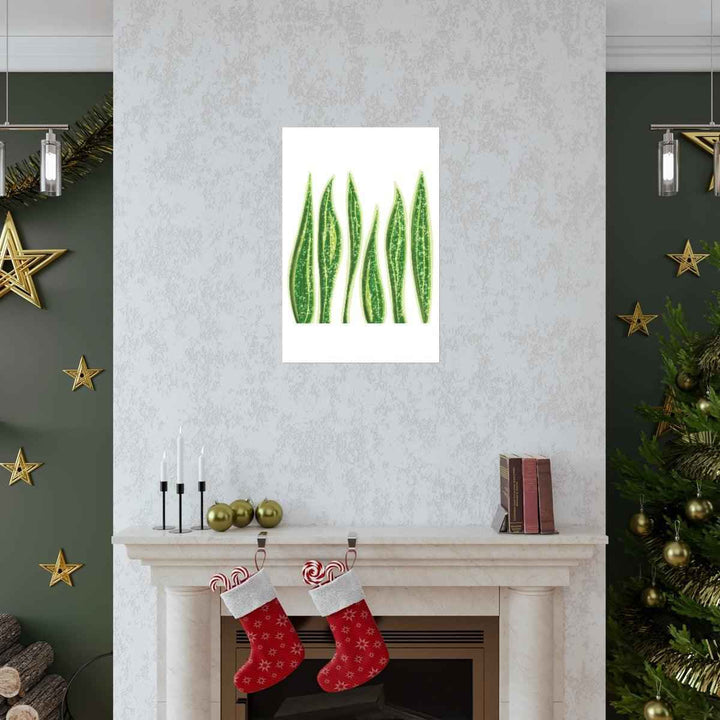 Snake Plant Print – Large Botanical Wall Art Poster | Matte Finish | Unframed