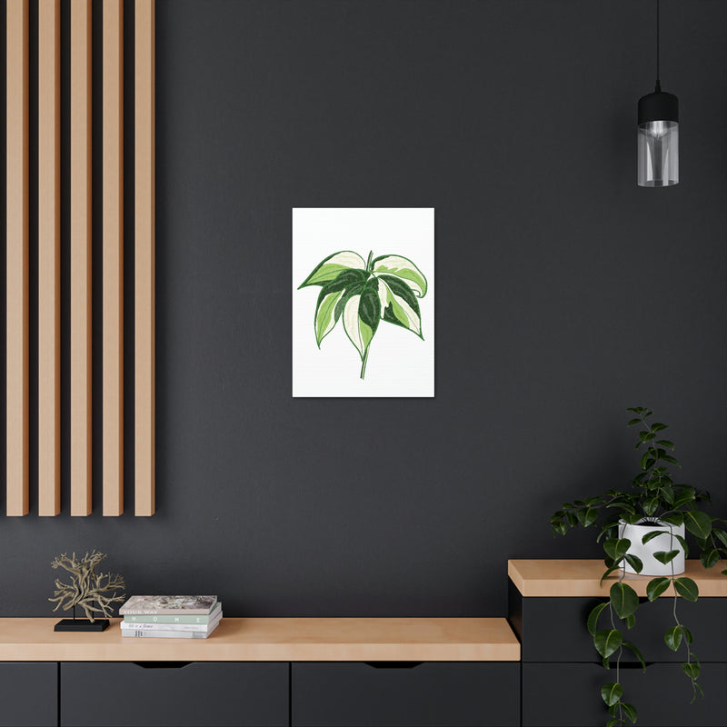 Lienzo Philodendron &