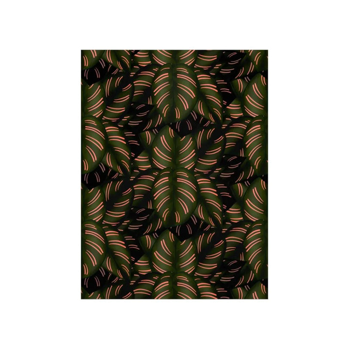 Calathea Pinstripe Print, Poster, Laura Christine Photography & Design, Back to School, Home & Living, Indoor, Matte, Paper, Posters, Valentine's Day promotion, Laura Christine Photography & Design, laurachristinedesign.com