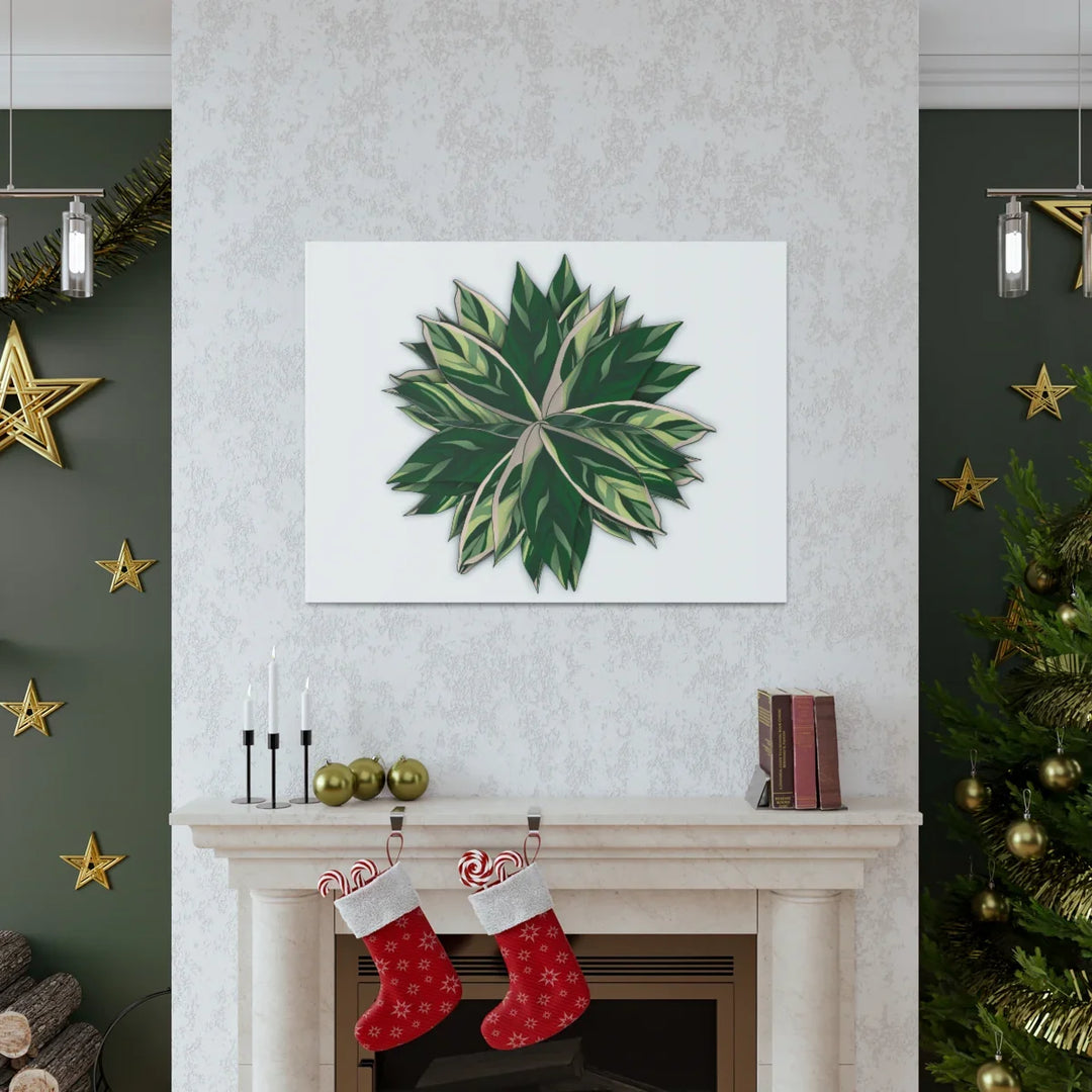 Stromanthe Triostar Canvas - Pastel Stripe Canvas Art Print With Vivid Color Artwork - Laura Christine Photography & Design