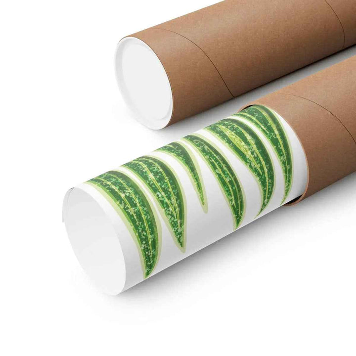 Snake Plant Print – Large Botanical Wall Art Poster | Matte Finish | Unframed