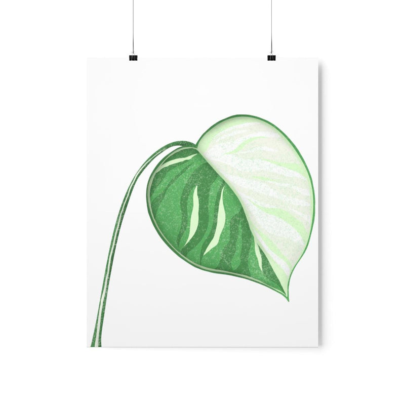 Monstera Albo Print, Poster, Laura Christine Photography & Design, Back to School, Home & Living, Indoor, Matte, Paper, Posters, Valentine&