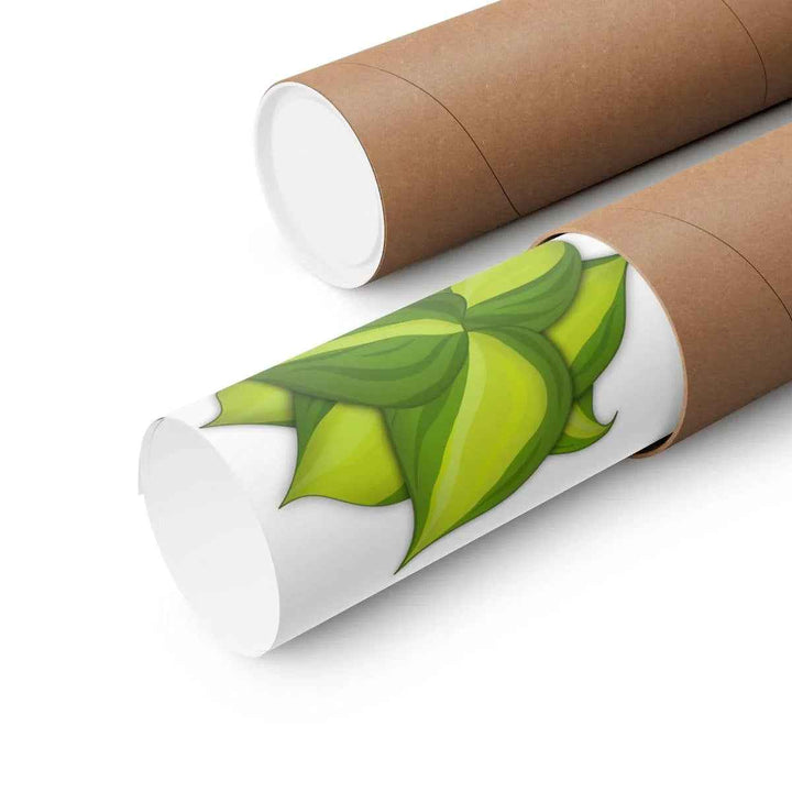 Philodendron Brasil Print – Botanical Wall Art on Museum Grade Paper Poster Unframed