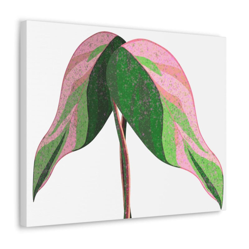 Pink Princess Philodendron Canvas, Canvas, Laura Christine Photography & Design, Art & Wall Decor, Canvas, Hanging Hardware, Home & Living, Indoor, Laura Christine Photography & Design, 