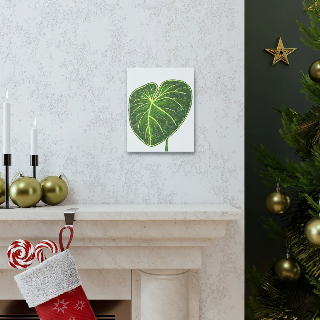 Philodendron Gloriosum Canvas - Stretched Canvas Art Print | Matte Indoor Wall Art - Laura Christine Photography & Design