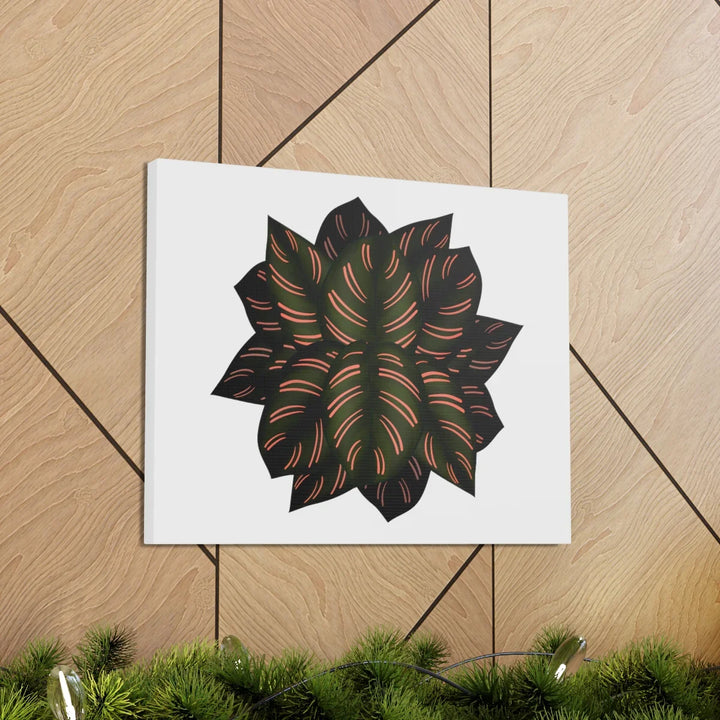 Calathea Pinstripe Canvas – Botanical Canvas Art Print | Matte Finish Wall Decor