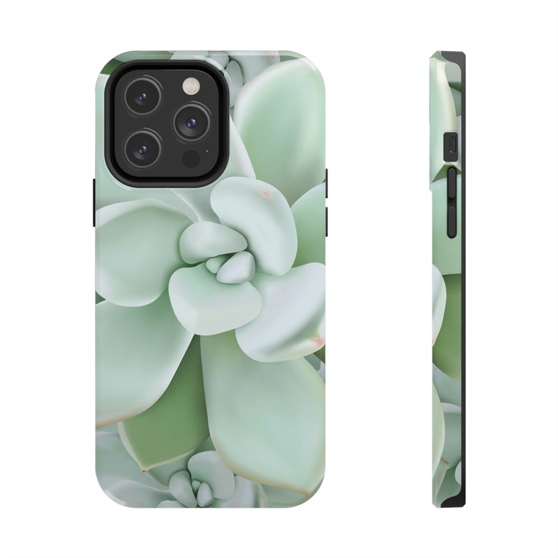 Pachyveria Haagei Succulent Phone Case, Phone Case, Printify, Accessories, Glossy, iPhone Cases, Matte, Phone accessory, Phone Cases, Samsung Cases, Laura Christine Photography & Design, laurachristinedesign.com