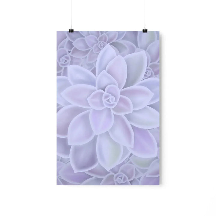 Graptopetalum 'Murasaki' Succulent Print, Poster, Laura Christine Photography & Design, Back to School, Home & Living, Indoor, Matte, Paper, Posters, Valentine's Day promotion, Laura Christine Photography & Design, laurachristinedesign.com