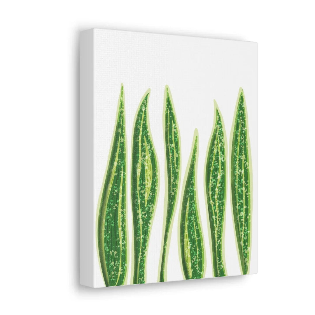 Snake Plant Canvas | Botanical Canvas Decor - Matte Finish Artwork for Living Room - Laura Christine Photography & Design