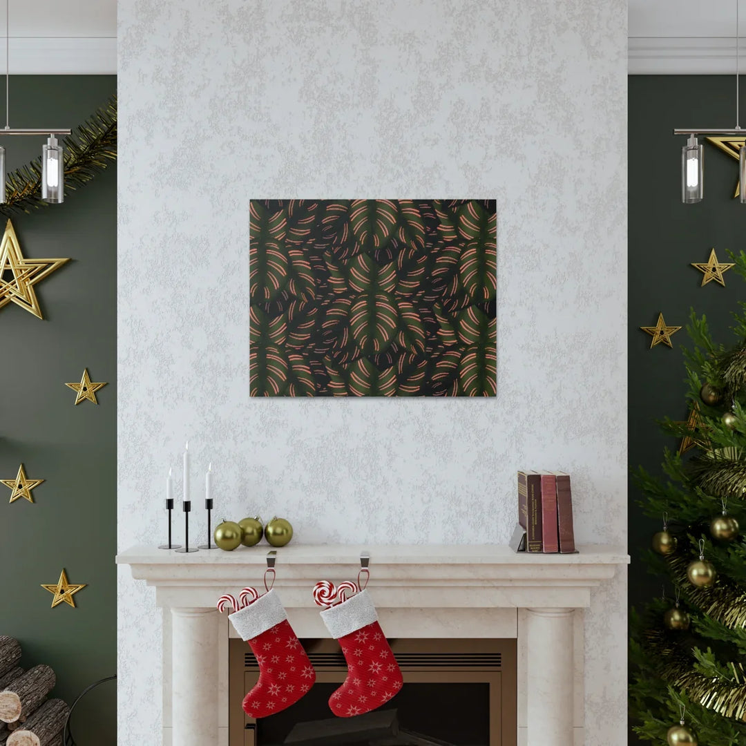 Calathea Pinstripe Canvas – Botanical Canvas Art Print | Matte Finish Wall Decor