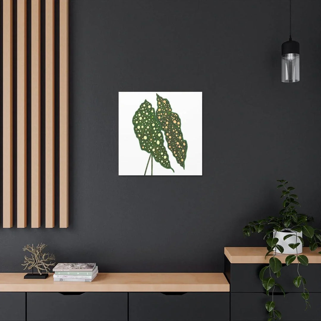 Begonia Maculata Canvas | Premium Canvas Art Print - Matte Finish, Durable Wall Decor - Laura Christine Photography & Design