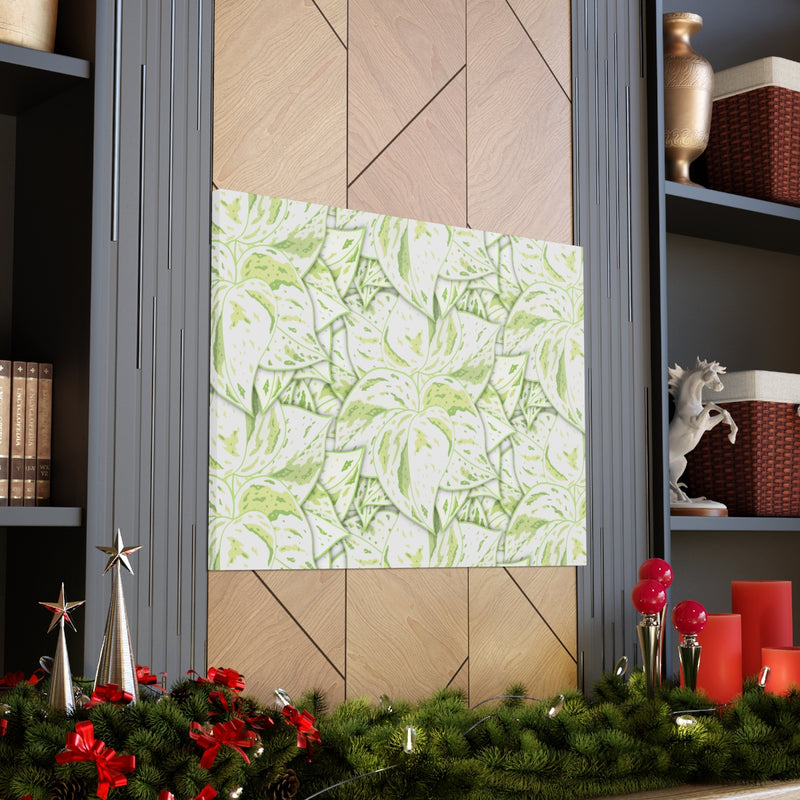 Snow Queen Pothos Canvas