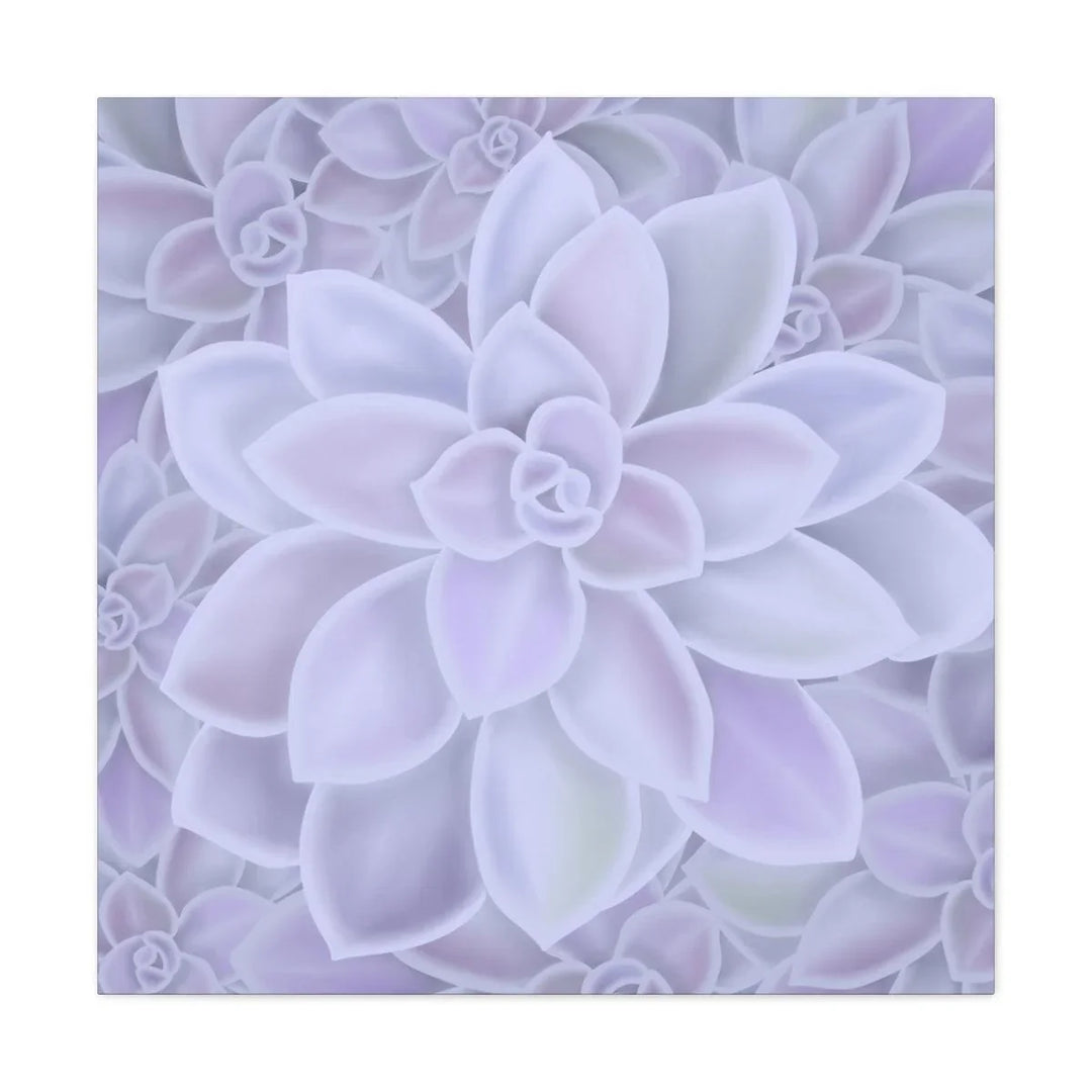 Graptopetalum 'Murasaki' Succulent Canvas, Canvas, Laura Christine Photography & Design, Art & Wall Decor, Canvas, Hanging Hardware, Home & Living, Indoor, Laura Christine Photography & Design, laurachristinedesign.com