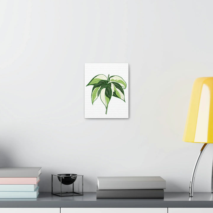 Philodendron Canvas Print - Cream Splash Variegated Plant Art on Matte Cotton Canvas