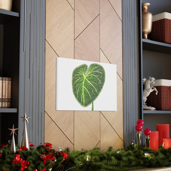 Philodendron Gloriosum Canvas - Stretched Canvas Art Print | Matte Indoor Wall Art - Laura Christine Photography & Design