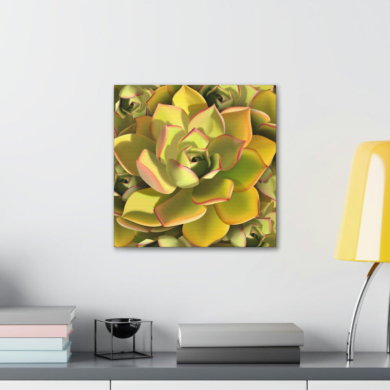 Noble Aeonium Succulent Pattern Canvas, Canvas, Printify, Art & Wall Decor, Canvas, Hanging Hardware, Home & Living, Indoor, Laura Christine Photography & Design, laurachristinedesign.com