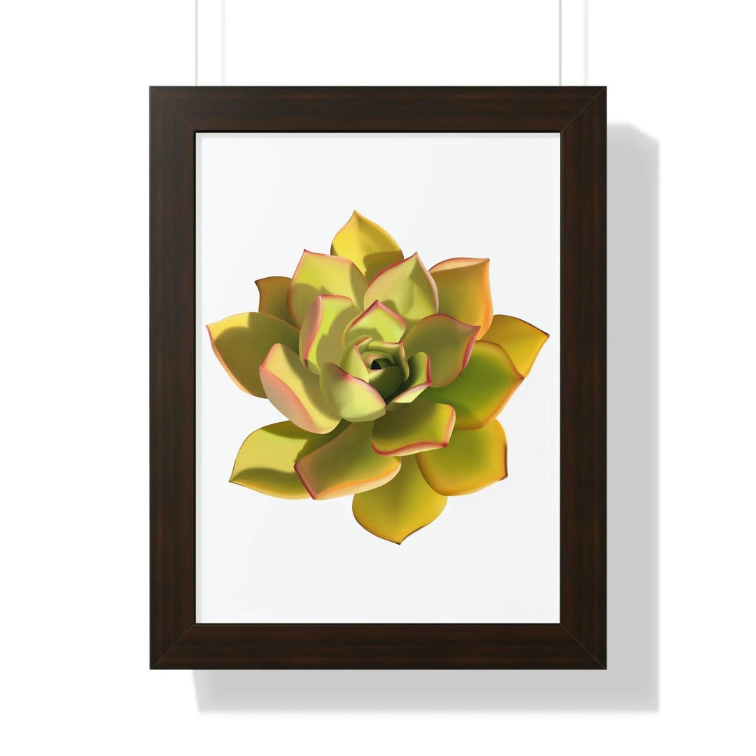 Noble Aeonium Succulent Framed Print, Poster, Printify, Framed, Home & Living, Indoor, Paper, Posters, Laura Christine Photography & Design, laurachristinedesign.com