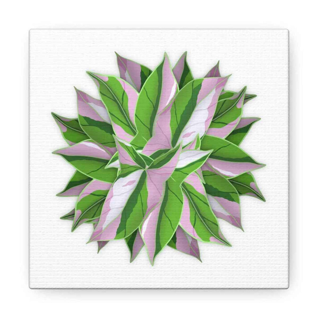Tricolor Syngonium Canvas - Durable Canvas Art Print With Matte Finish & Botanical Design