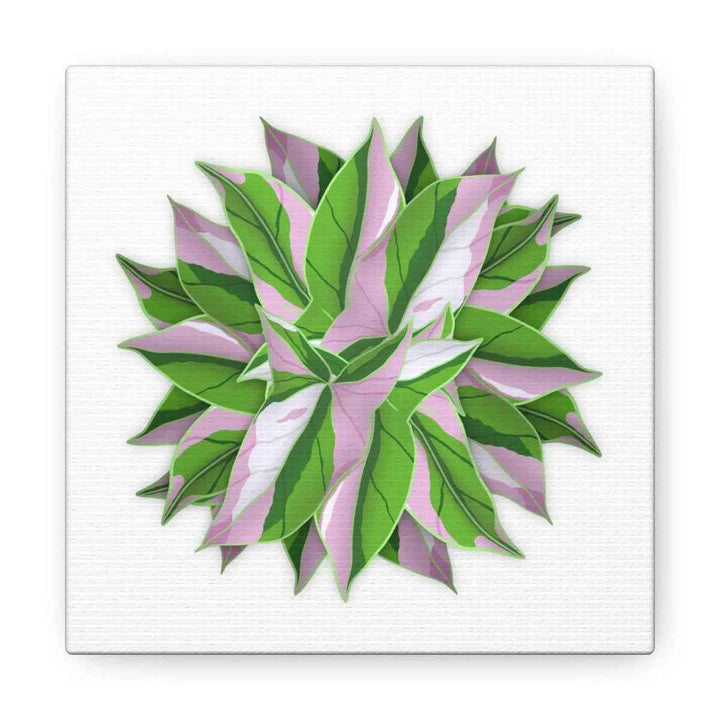 Tricolor Syngonium Canvas - Durable Canvas Art Print With Matte Finish & Botanical Design