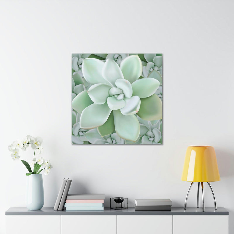 Pachyveria Haagei Succulent Pattern Canvas, Canvas, Printify, Art & Wall Decor, Canvas, Hanging Hardware, Home & Living, Indoor, Laura Christine Photography & Design, laurachristinedesign.com