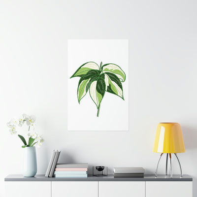 Philodendron 'Cream Splash' Print