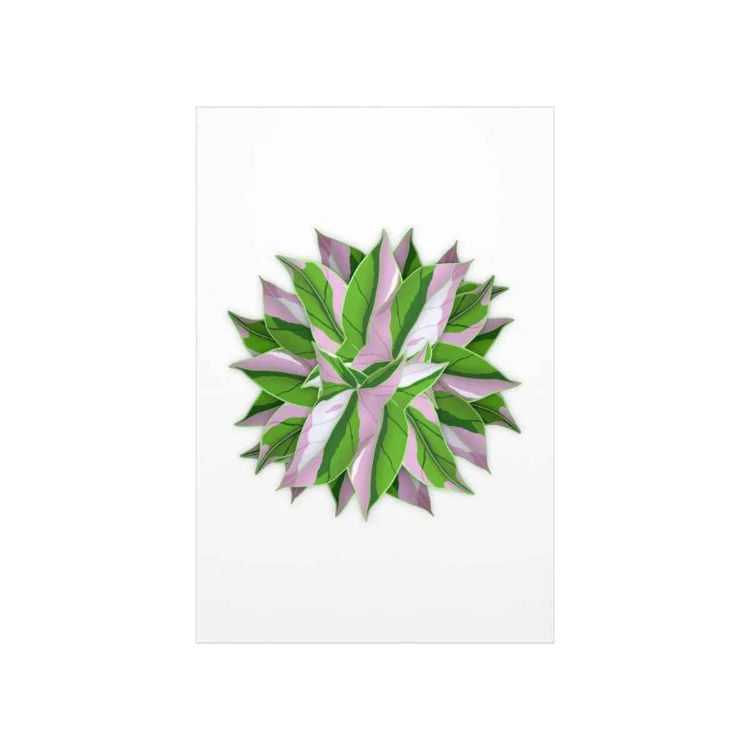 Tricolor Syngonium Print - Botanical Poster on Museum Grade Paper | Archival Ink Unframed