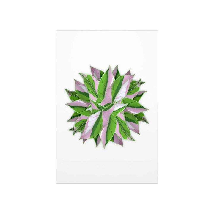 Tricolor Syngonium Print - Botanical Poster on Museum Grade Paper | Archival Ink Unframed