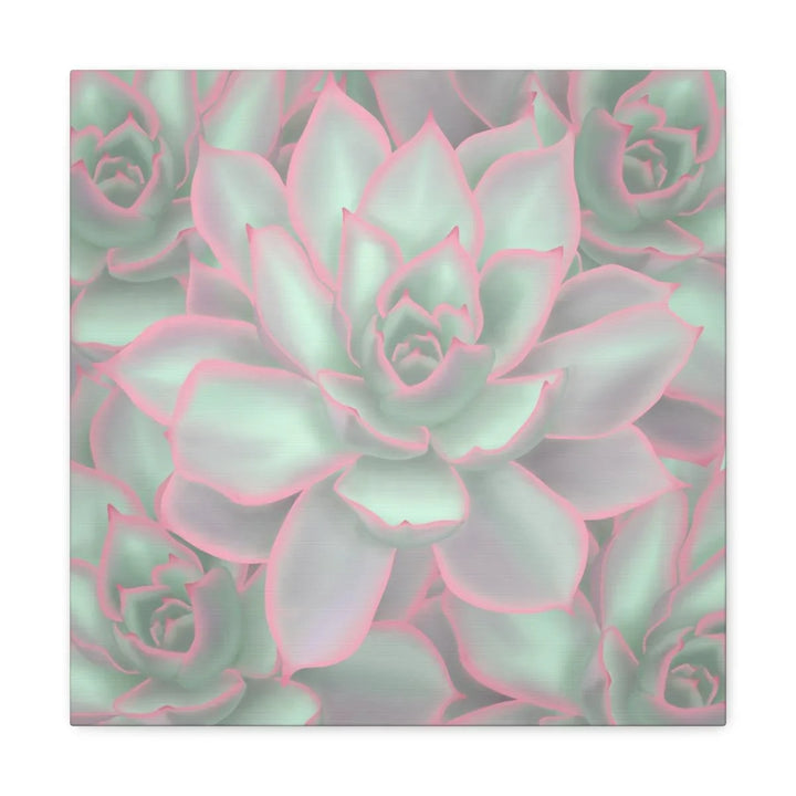 Echeveria Violet Queen Succulent Canvas, Canvas, Laura Christine Photography & Design, Art & Wall Decor, Canvas, Hanging Hardware, Home & Living, Indoor, Laura Christine Photography & Design, laurachristinedesign.com