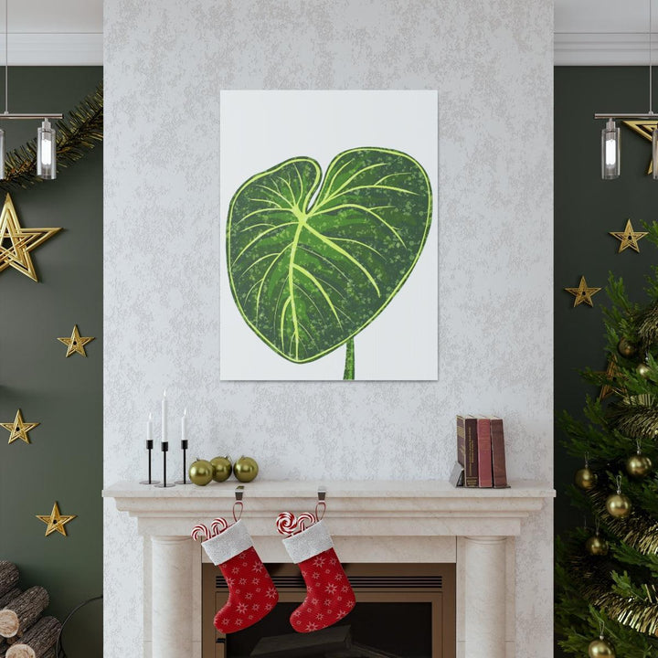 Philodendron Gloriosum Canvas - Stretched Canvas Art Print | Matte Indoor Wall Art - Laura Christine Photography & Design