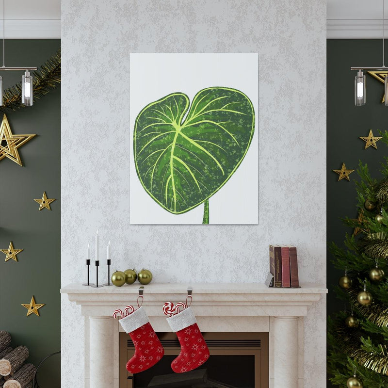 Philodendron Gloriosum Canvas, Canvas, Laura Christine Photography & Design, Art & Wall Decor, Canvas, Hanging Hardware, Home & Living, Indoor, Laura Christine Photography & Design, 