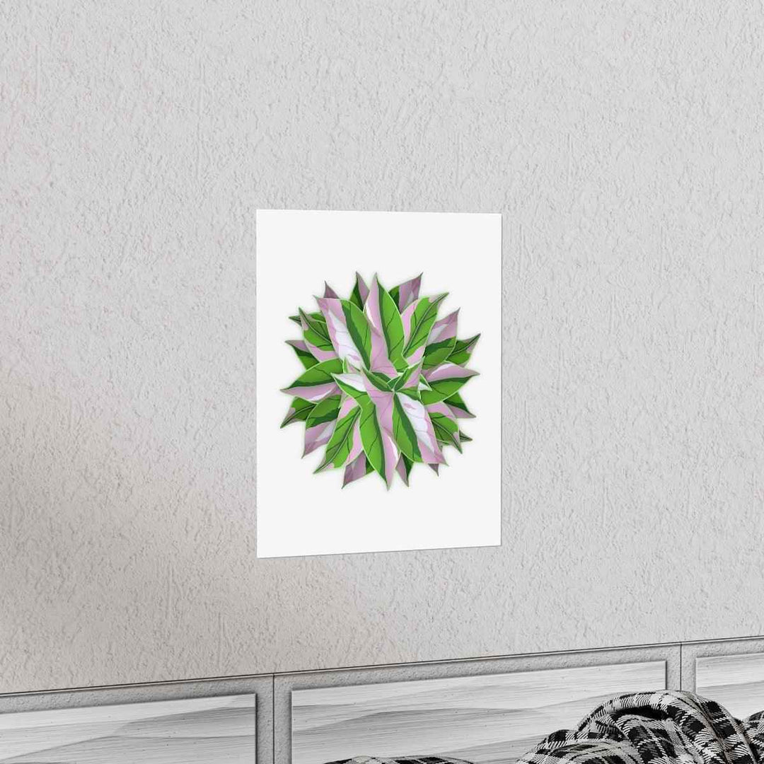 Tricolor Syngonium Print - Botanical Poster on Museum Grade Paper | Archival Ink Unframed