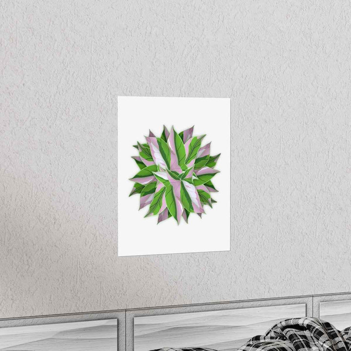 Tricolor Syngonium Print - Botanical Poster on Museum Grade Paper | Archival Ink Unframed