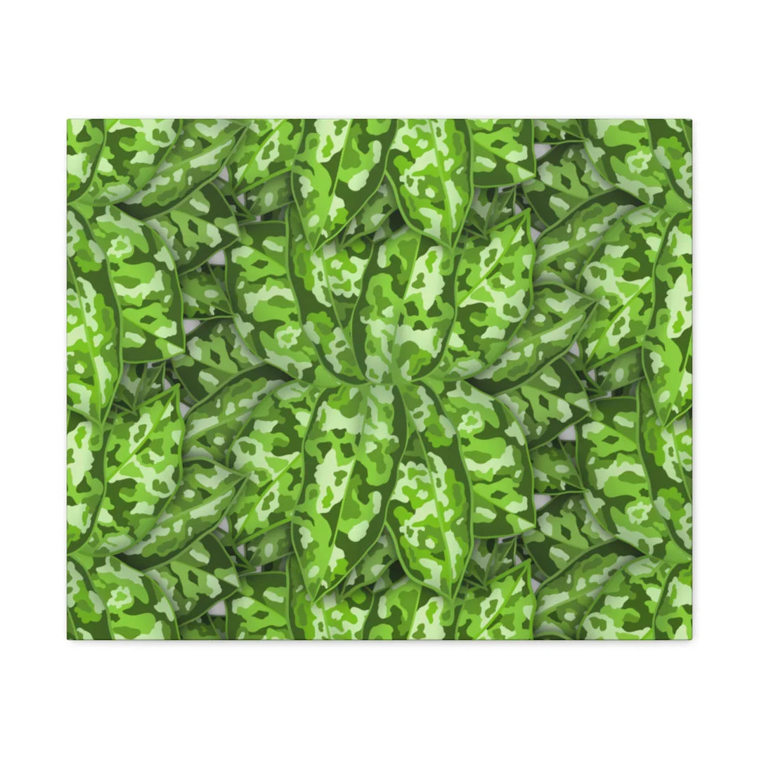 Aglaonema Pictum Canvas - Rare Camouflage Leaf Print Canvas Art Print