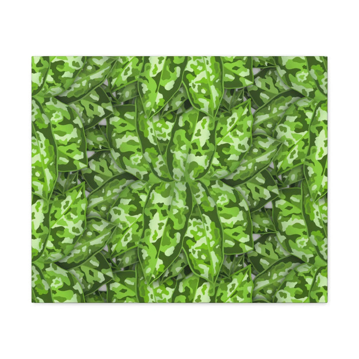 Aglaonema Pictum Canvas - Rare Camouflage Leaf Print Canvas Art Print