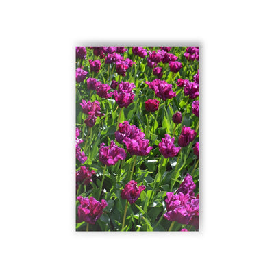 Purple prince tulips - Postcard, 10-pack, Paper products, Printify, Back to School, Home & Living, Indoor, Matte, Paper, Posters, Laura Christine Photography & Design, laurachristinedesign.com