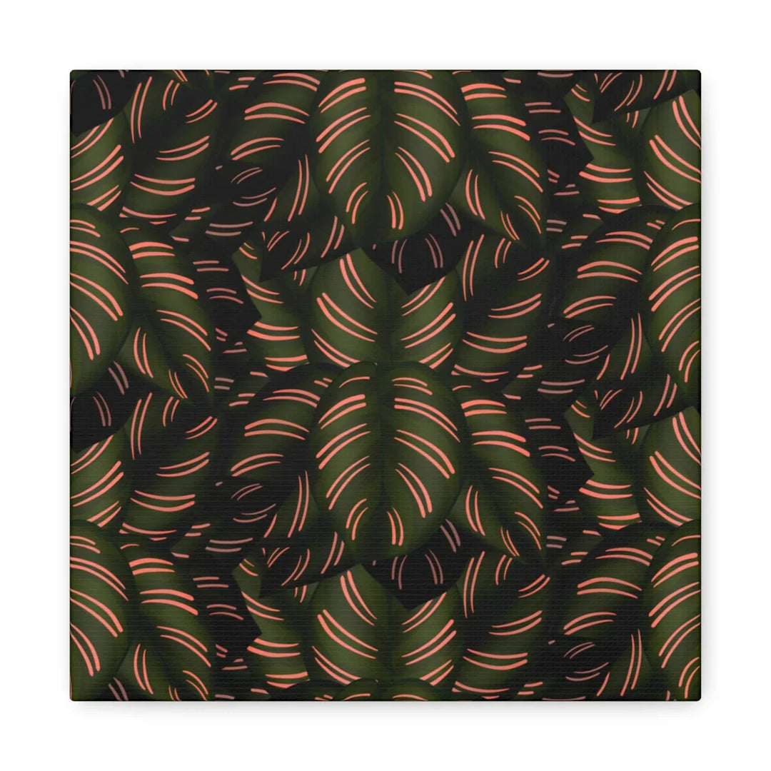 Calathea Pinstripe Canvas – Botanical Canvas Art Print | Matte Finish Wall Decor