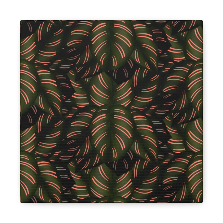 Calathea Pinstripe Canvas – Botanical Canvas Art Print | Matte Finish Wall Decor