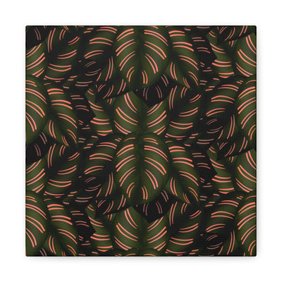 Calathea Pinstripe Canvas