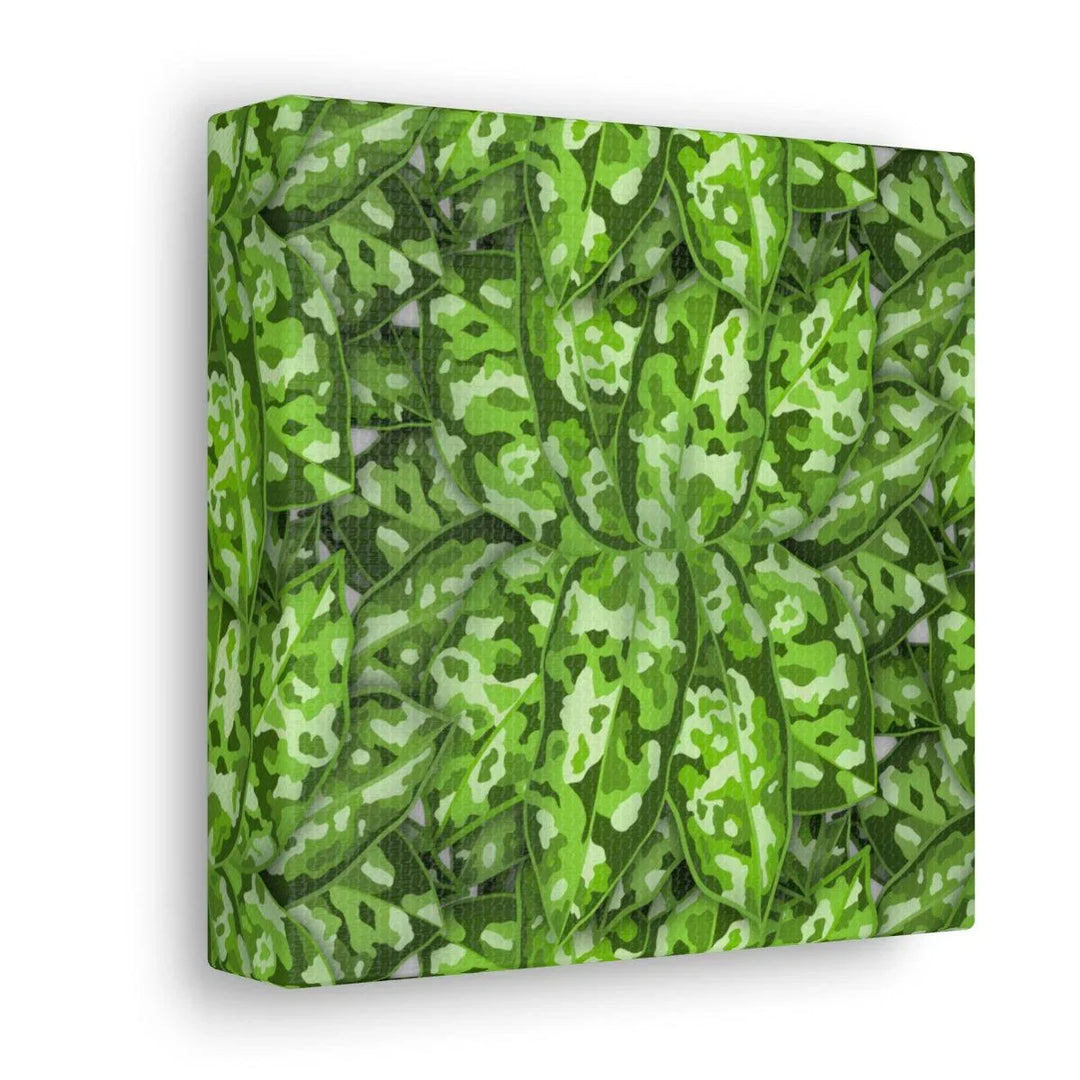 Aglaonema Pictum Tricolor Canvas, Canvas, Laura Christine Photography & Design, Art & Wall Decor, Canvas, Hanging Hardware, Home & Living, Indoor, Laura Christine Photography & Design, laurachristinedesign.com