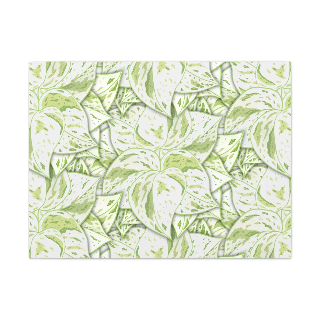 Snow Queen Pothos Canvas – Matte Finish Canvas Art Print | Variegated Botanical Wall Decor